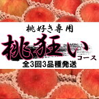 【ふるさと納税】【先行予約】桃狂い　旬の採れたて桃約1kg×3回定期便（旬を迎えた品種から順次発送）　全3品種〈出荷時期：2024年6月下旬～9月上旬〉フルーツ 桃【 内祝 お祝い 御祝い 御祝 お礼 御礼 プレゼント ギフト 贈り物 お歳暮 お中元 山梨県 南アルプス市 】