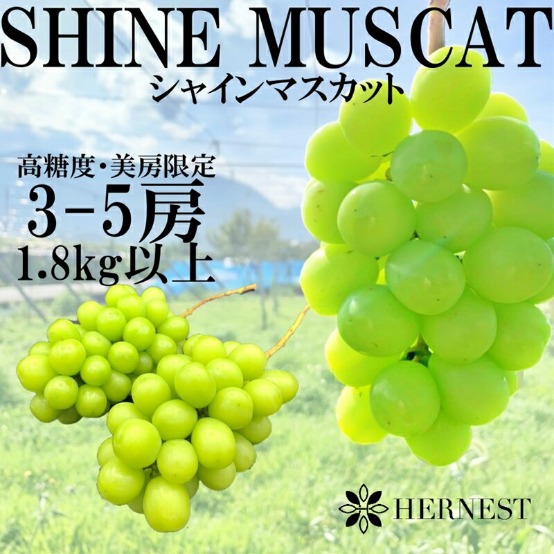 【ふるさと納税】南アルプス市産シャインマスカット約1.8kg　3-5房＜出荷時期：2023年8月下旬～2023年10月下旬頃＞【先行予約 フルーツ ぶどう 葡萄 山梨県 南アルプス市 】のサムネイル