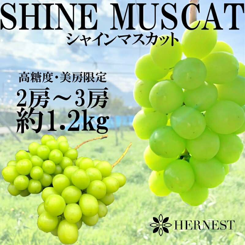 【ふるさと納税】南アルプス市産シャインマスカット約1.2kg　2-3房＜出荷時期：2023年8月下旬～2023年10月下旬頃＞【 先行予約 フルーツ ぶどう 葡萄 山梨県 南アルプス市 】のサムネイル