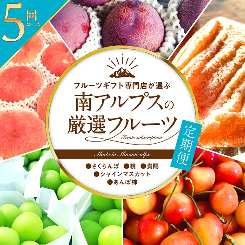 【ふるさと納税】【先行予約】フルーツギフト専門店が選ぶ南アルプスの厳選フルーツ定期便全5品種〈さくらんぼ・桃・貴陽・シャインマスカット・あんぽ柿〉【出荷時期：2024年5月～2024年11月】【プレゼント ギフト 贈り物 お歳暮 お中元 山梨県 南アルプス市 】のサムネイル