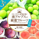 楽天山梨県南アルプス市【ふるさと納税】【先行予約】フルーツギフト専門店が選ぶ南アルプスの厳選フルーツ定期便全3品種〈貴陽・桃・シャインマスカット〉【出荷時期：2024年7月～2024年10月】【御祝 お礼 御礼 プレゼント ギフト 贈り物 お歳暮 フルーツギフト 山梨県 南アルプス市 】