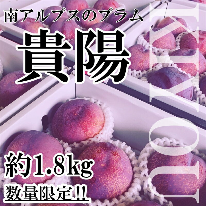 【ふるさと納税】【先行予約】南アルプス市産高級すもも 貴陽 約1.8kg 6玉から9玉 【出荷時期2024年7月～2024年8月】【内祝い 内祝 お祝い 御祝い 御祝 お礼 御礼 プレゼント ギフト 贈り物 お…