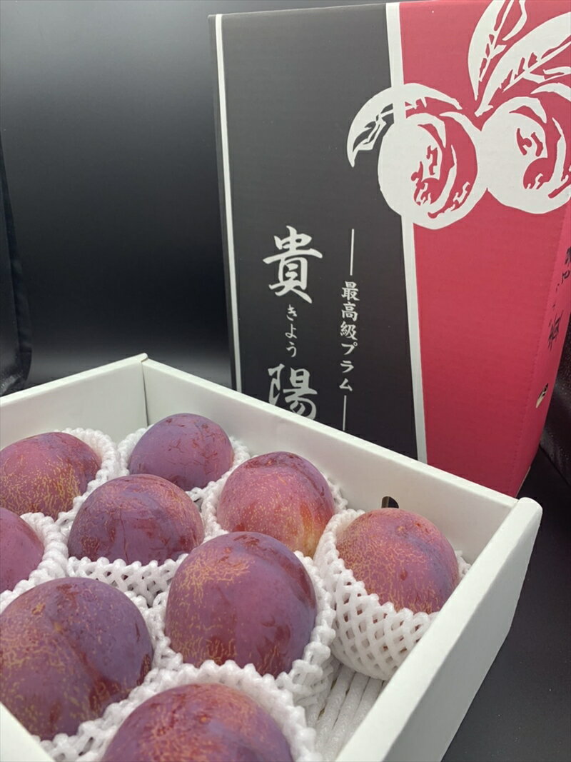【朝市場直行】長野県ほか　りんご　リンゴ（青）1個　約250g【冷蔵】