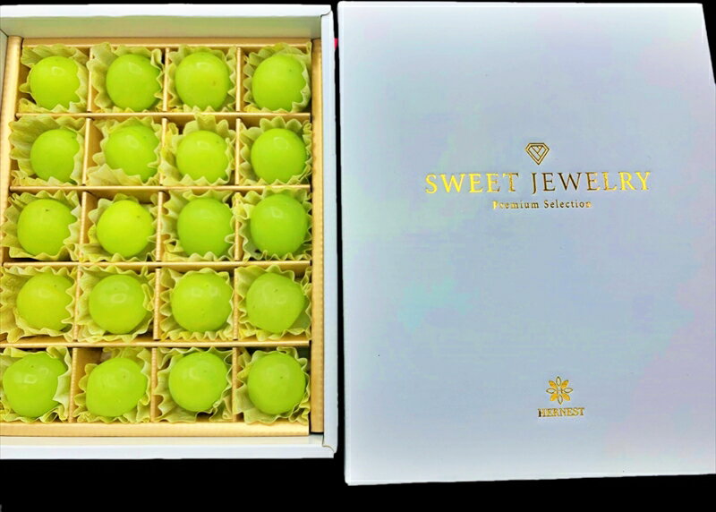 【ふるさと納税】【先行予約】南アルプス市産　シャインマスカット　粒ギフト　SWEET JEWELRY【出荷時期2024年8月～10月】【内祝い 内祝 お祝い 御祝い 御祝 お礼 御礼 プレゼント ギフト 贈り物 お歳暮 お中元 フルーツギフト 山梨県 南アルプス市 】 2