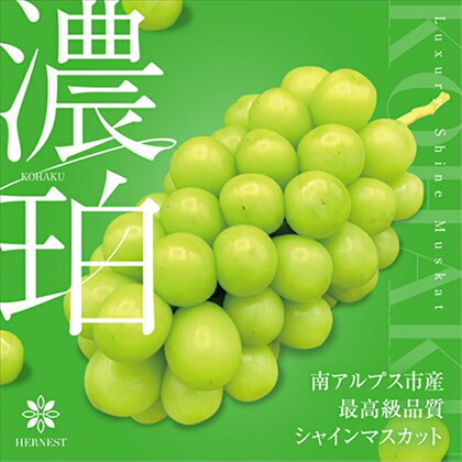 【先行予約】南アルプス市産シャインマスカット「濃珀 KOHAKU 」700g以上　1房＜出荷時期：2024年8月下旬～10月下旬ごろ＞【内祝い 内祝 お祝い 御祝い 御祝 お礼 御礼 プレゼント ギフト 贈り物 お歳暮 山梨県 南アルプス市 】