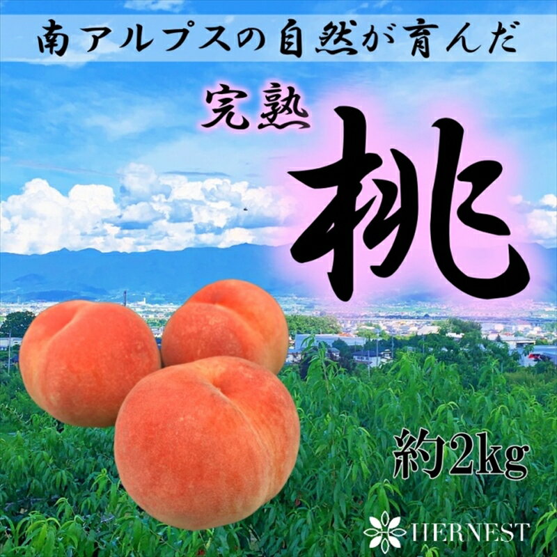 【ふるさと納税】【先行予約】南アルプス市産高糖度 桃【5～8玉】約2kg 出荷時期：2024年6月下旬～8月下旬 フルーツ 桃【内祝い 内祝 お祝い 御祝い 御祝 お礼 御礼 プレゼント ギフト 贈り物 …