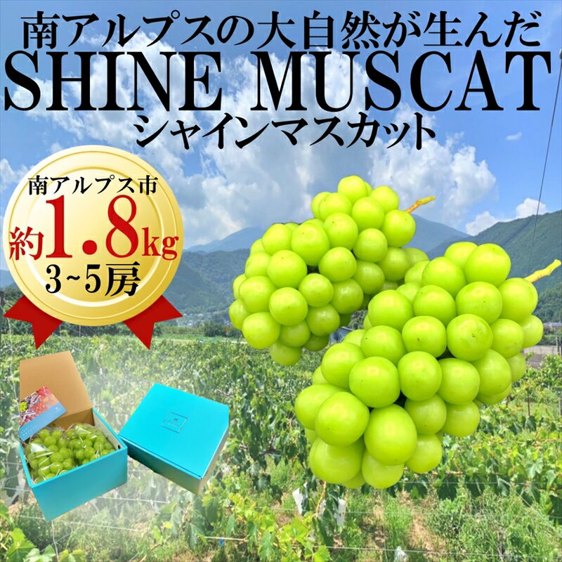 36位! 口コミ数「3件」評価「4.67」【先行予約】南アルプス市産旬の採れたてシャインマスカット　秀等品　約1.8kg　3-5房＜出荷時期：2024年8月下旬～2024年10月下旬･･･ 