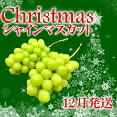 【ふるさと納税】【先行予約】冬季限定！！山梨県南アルプス市産　クリスマスシャインマスカット　約1.0kg　2～3房入り＜出荷開始：2024年12月＞【内祝い 内祝 お祝い 御祝い 御祝 お礼 御礼 プレゼント ギフト 贈り物 お歳暮 山梨県 南アルプス市 】