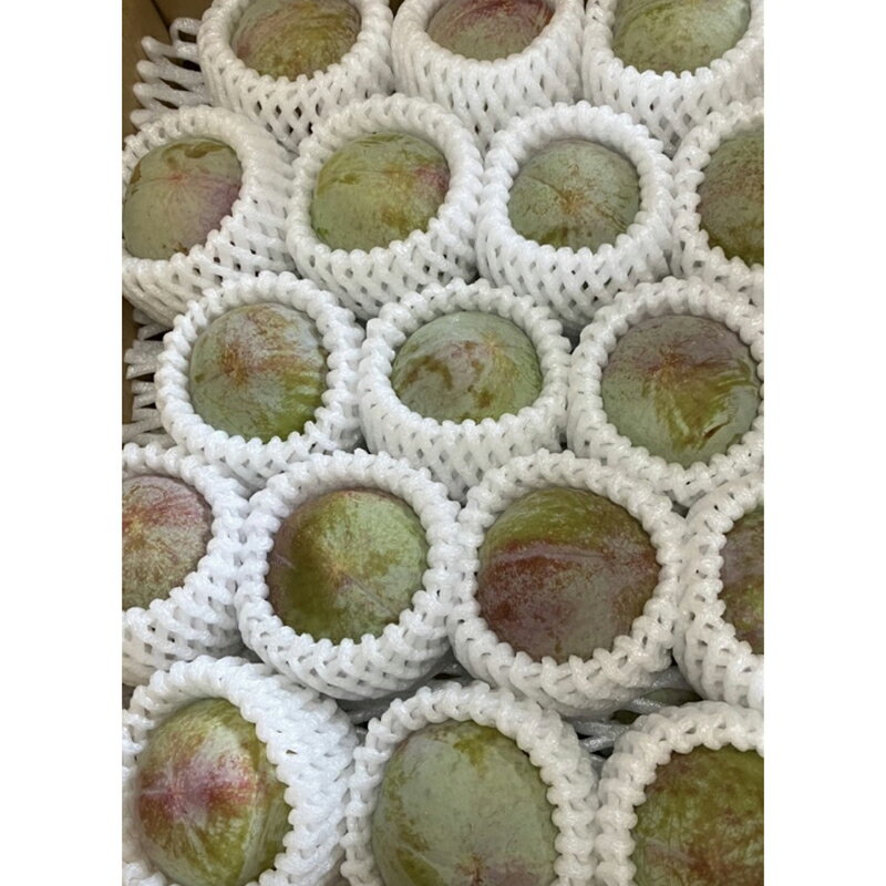 【ふるさと納税】 ＜2026年発送先行予約＞すももソルダム 約1.2kg ふるさと納税 すもも ソルダム プラム 果物 フルーツ おすすめ 山梨県 南アルプス市 送料無料 ALPCZ003