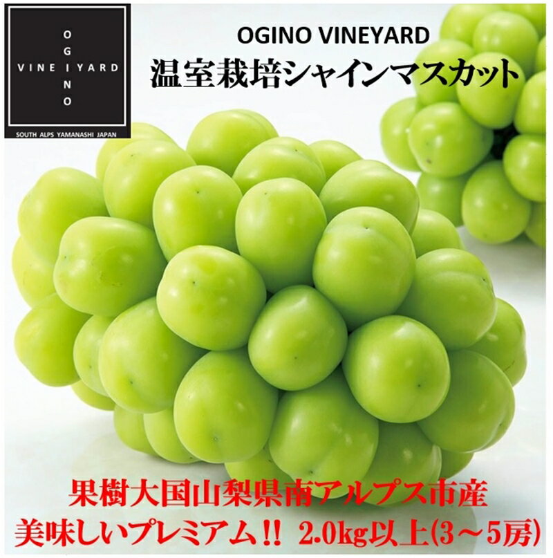 [先行予約]山梨県産 温室栽培シャインマスカット 2.0gk以上3〜5房[出荷時期:2024年7月5日出荷開始〜2024年8月20日出荷終了][内祝い 内祝 お祝い 御祝い 御祝 お礼 御礼 プレゼント ギフト 贈り物 お歳暮 お中元 フルーツギフト 山梨県 南アルプス市 ]