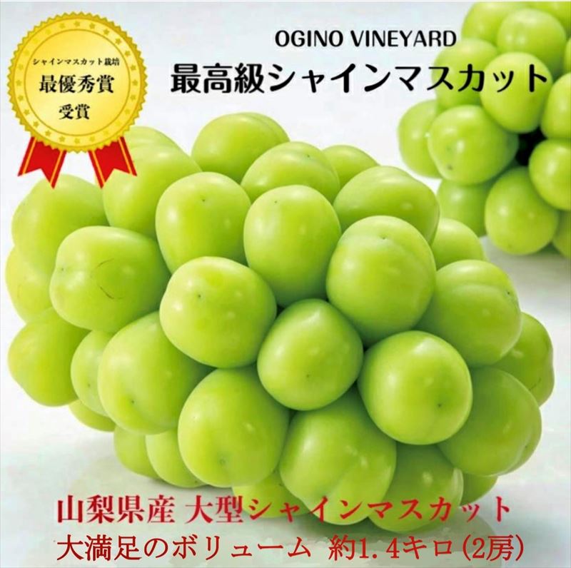市場 ふるさと納税 和歌山県産紀の川のカット巨峰約800g ※2022年8月初旬から8月下旬頃順次発送 市場 ふるさと納税 和歌山県産紀の川のカット巨峰約800g ※2022年8月初旬から8月下旬頃順次発送