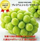 【ふるさと納税】【先行予約】2024年秋収穫先行予約 山梨県産シャインマスカット 約1.4kg2房＜出荷時期：2024年9月5日出荷開始～2024年10月8日出荷終了＞【内祝い 内祝 お祝い 御祝い 御祝 お礼 御礼 プレゼント ギフト 山梨県 南アルプス市 】