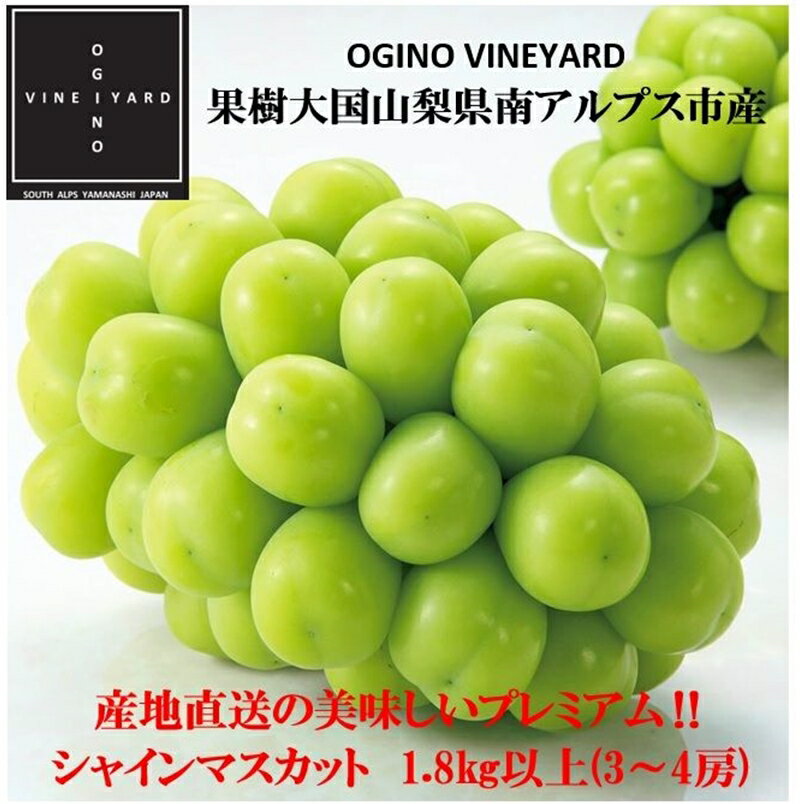 [先行予約]2024年秋収穫先行予約 山梨県産シャインマスカット 1.8kg以上3〜4房[出荷時期:2024年9月5日出荷開始〜2024年10月8日出荷終了][お祝い プレゼント 山梨県 南アルプス市 ]