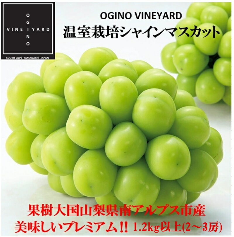 【ふるさと納税】【先行予約】山梨県産 温室栽培シャインマスカット 1.2kg以上2～3房＜出荷時期：2024年7月5日出荷開始～2024年8月20日出荷終了＞【おすそ分け お取り寄せ ご自宅用 ご家庭用 人気 あまい ギフト プレゼント 贈り物 山梨県 南アルプス市 】･･･