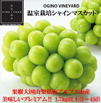 【ふるさと納税】【先行予約】山梨県産 温室栽培シャインマスカット 1.7kg以上3～4房＜出荷時期：2024年7月5日出荷開始～2024年8月20日出荷終了＞【お祝い プレゼント ギフト 贈り物 山梨県 南アルプス市 】