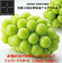 【ふるさと納税】【先行予約】2024年秋収穫先行予約 山梨県