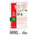 【ふるさと納税】はくばく 押麦 800g×6個【はくばく 押麦 800g×6個 国産大麦100％使用 昔からたべられている一般的な麦ごはんの大麦 お好みの量を自由にお使いいただける大容量 山梨県 南アルプス市 】