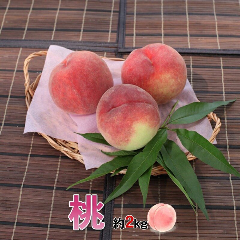 【ふるさと納税】桃 約2kg(5～8玉) 山梨県南アルプス市産＜出荷開始：2023年7月1日～2023年 8月31日まで＞【 クール便 もも フルーツ 山梨県 南アルプス市 】のサムネイル