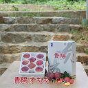 【ふるさと納税】<2026年発送分先行予約> 厳選! 貴陽すもも 約1.5kg 山梨県南アルプス市産 ふるさと納税 おすすめ 山梨県 南アルプス市 送料無料 ALPBV008