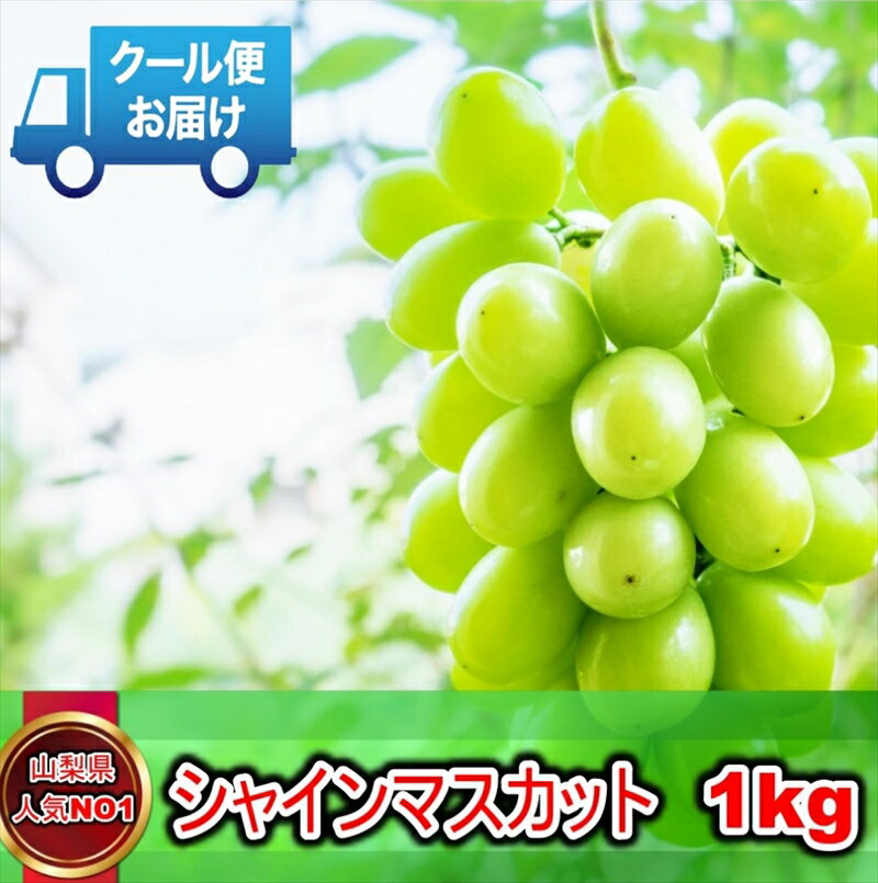 【ふるさと納税】安心のクール便発送　収穫当日に産地直送　シャインマスカット　1kg（2房）＜出荷開始：2024年9月1日～2024年10月5日＞【 フルーツ シャインマスカット 山梨県 南アルプス市 】のサムネイル