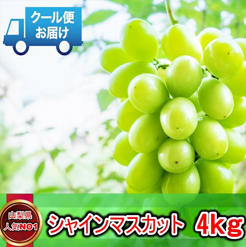 【ふるさと納税】安心のクール便発送　収穫当日に産地直送　シャインマスカット　4kg（6～8房）＜出荷開始：2024年9…