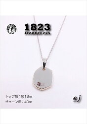 【ふるさと納税】ejブランド『1823』Frontier era SV925　ウィルダーネスネックレス【 山梨県 南アルプス市 】 画像1