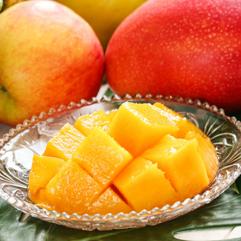 【ふるさと納税】 ＜2026年発送先行予約＞トロピカルファーム南アルプス 完熟マンゴー(アーウィン種) 糖度15度以上 2L(約350gから449g) ×2個入り ふるさと納税 マンゴー 完熟 果物 くだもの 2個 糖度15度 おすすめ 山梨県 南アルプス市 送料無料 ALPBH042