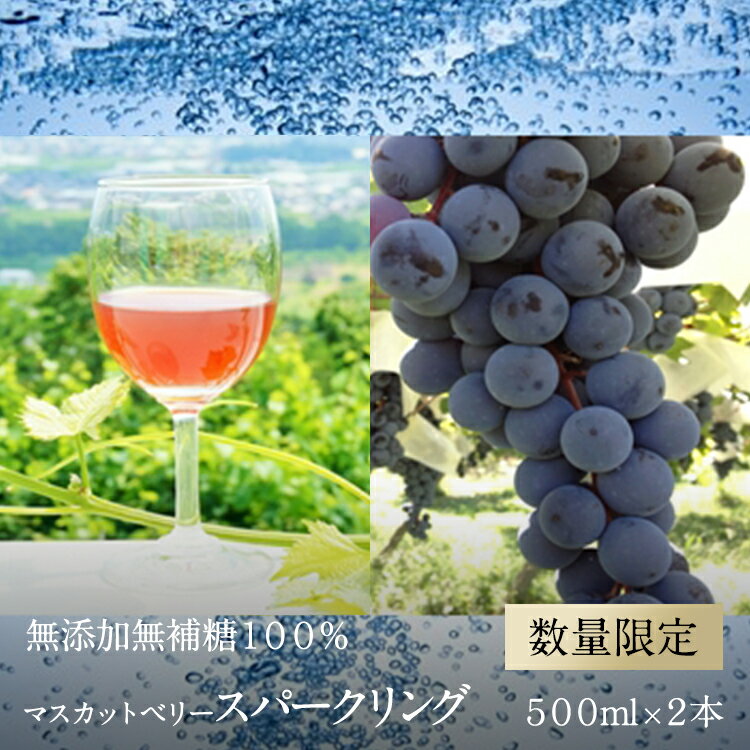 13位! 口コミ数「0件」評価「0」南アルプス天空舎が贈る上宮地産無添加無補糖100％ マスカットベリーAのスパークリングジュース 500ml×2本【南アルプス産ぶどう・マスカ･･･ 