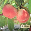 【ふるさと納税】もも 2kg【予約】南アルプス天空舎が贈る上...