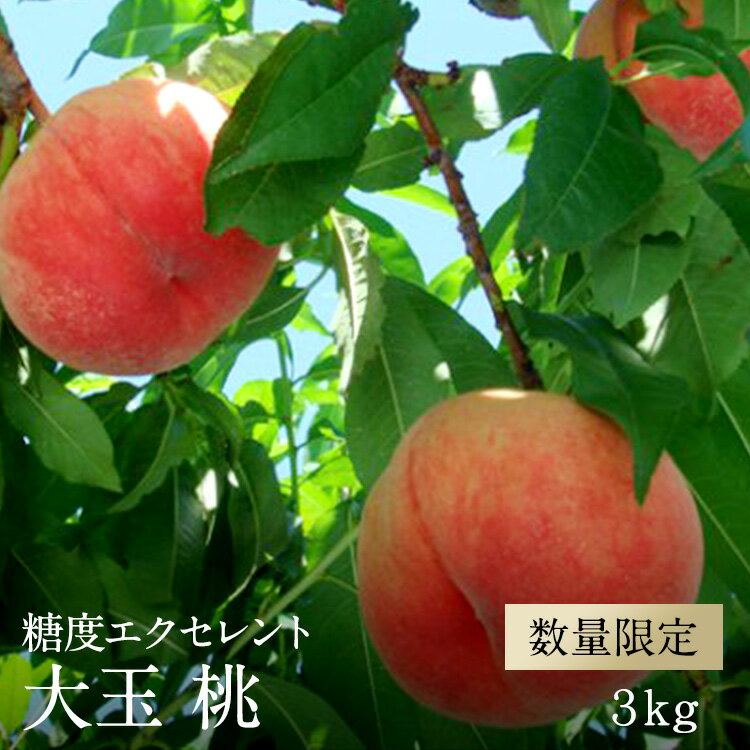 【ふるさと納税】【予約】桃「エクセレント」 大玉 約3kg 《期間限定》 ＜2019年7月中旬から発送予定＞ 2-1-14のサムネイル