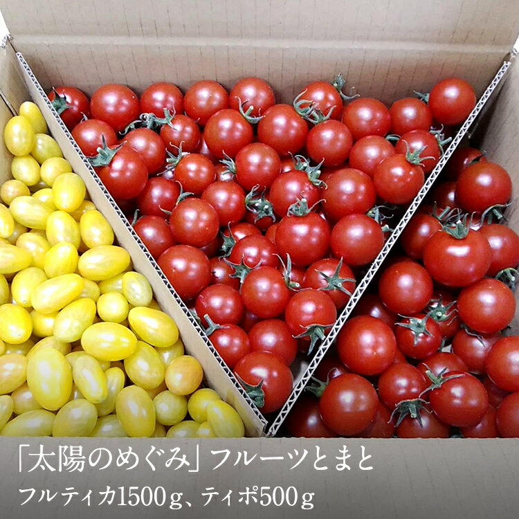 フルーツトマト 山梨県南アルプス市からお届け「太陽のめぐみ」フルーツとまと2kg（フルティカ1500g、ティポ500g）＜冷蔵出荷＞＜出荷時期：申込後、4ヶ月以内に発送予定＞