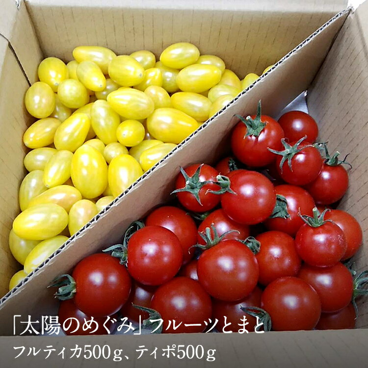 山梨県南アルプス市からお届け「太陽のめぐみ」フルーツとまと1kg(フルティカ500g、ティポ500g)[冷蔵出荷][出荷時期:申込後、4ヶ月以内に発送予定][ スナック感覚トマト おやつ感覚トマト 山梨県 南アルプス市 ]