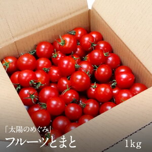 【ふるさと納税】山梨県南アルプス市からお届け「太陽のめぐみ」フルーツとまと1kg　＜冷蔵出荷＞ ＜出荷時期：申込後、2023年7月以降順次出荷（収穫量の都合上それ以上かかる場合もございますので、恐れ入りますがご了承下さい）＞