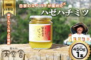 【ふるさと納税】 自家のミツバチが集める南アルプス上宮地産 ハゼ蜜 ガラスびん詰 450g 1本 ふるさと納税 はちみつ ハゼはちみつ ハゼ 瓶詰 おすすめ 山梨県 南アルプス市 送料無料 ALPAB100