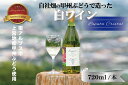 【ふるさと納税】 南アルプス天空舎の甲州ぶどうで醸す白ワインLaputaCRYSTAL ふるさと納税 白ワイン ワイン 甲州 甲州ぶどう 甲州種 葡萄酒 お酒 酒 おすすめ 山梨県 南アルプス市 送料無料 ALPAB018