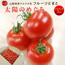 【ふるさと納税】 6-182 フルーツトマト「トマ糖*太陽のめぐみ」フルティカ2kg ふるさと納税 トマト 野菜 食べ物 ミニトマト フルーツトマト おすすめ 山梨県 南アルプス市 送料無料 ALPBI004