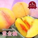 【ふるさと納税】<2026年発送先行予約>光センサー桃「黄金桃」約3kg ふるさと納税 おすすめ 山梨県 南アルプス市 送料無料 ALPAA017
