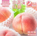 19位! 口コミ数「7件」評価「4」【2024年発送分】 桃2kg以上　山梨県産完熟桃　白鳳系　＜2024年6月下旬～8月上旬発送＞　白桃系　＜2024年7月中旬～8月下旬発送･･･ 