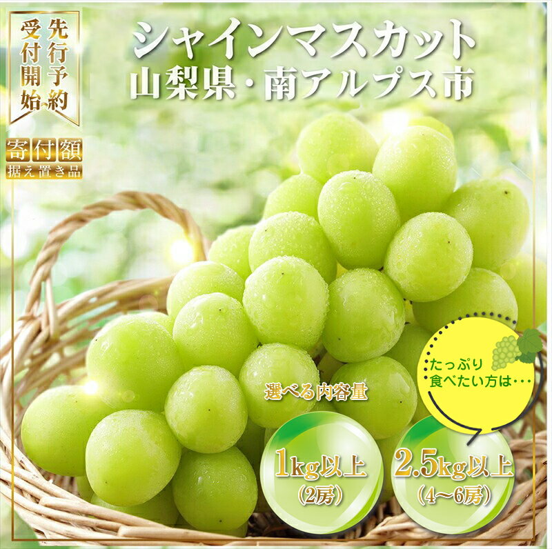  シャインマスカット　1kg以上（2房） 2.5kg以上（4～6房）山梨県産　＜2024年8月下旬～10月上旬発送＞