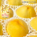 【ふるさと納税】 <2025年発送分先行予約>山梨県南アルプス市産 高糖度 黄金桃 【約5kg 13〜20玉】 ふるさと納税 桃 もも 大玉 果物 フルーツ 桃...