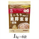 【ふるさと納税】 2.3-9-7はくばく もっちり美味しい発芽玄米+五穀 1kgx6個 ふるさと納税 はくばく 発芽玄米 無洗米 雑穀 玄米 五穀 おすすめ 山梨県 南アルプス市 送料無料 ALPAN027