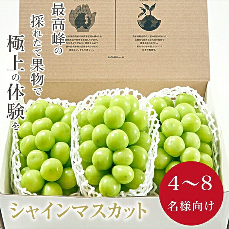 【ふるさと納税】 5-135 <先行予約2024年>南アルプス市産 大粒シャインマスカット 3房入り 約2kg ふるさと納税 おすすめ 山梨県 南アルプス市 送料無料 ALPAL008