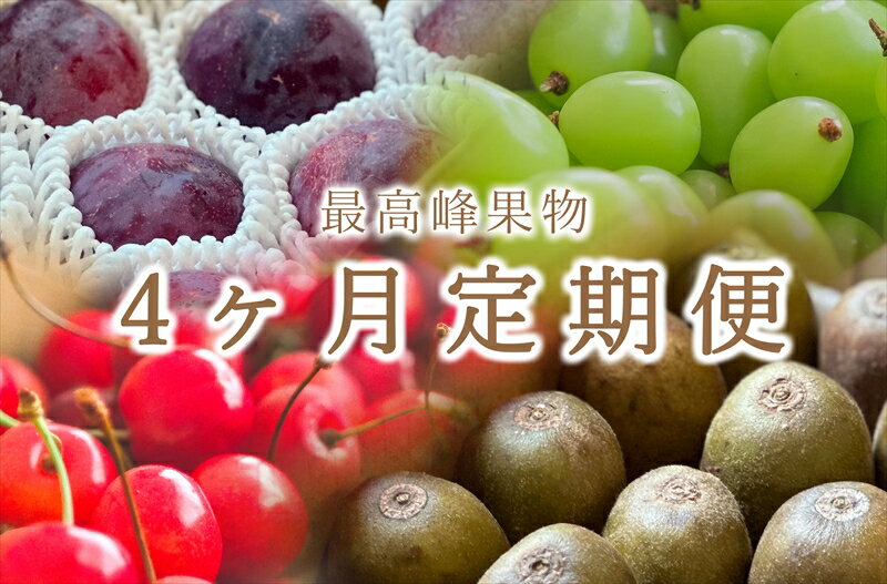 24位! 口コミ数「0件」評価「0」＜先行予約2024年＞南アルプス市産 ご家庭用“さくらんぼ”“貴陽”“シャインマスカット”“レッドキウイ”のセット 4ヶ月定期便＜出荷開始：･･･ 