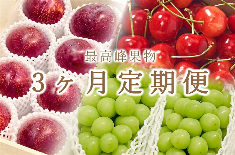 12位! 口コミ数「0件」評価「0」＜先行予約2024年＞南アルプス市産 “大粒さくらんぼ”“大玉貴陽”“大粒シャインマスカット”のセット 3ヶ月定期便＜出荷開始：2024年5･･･ 