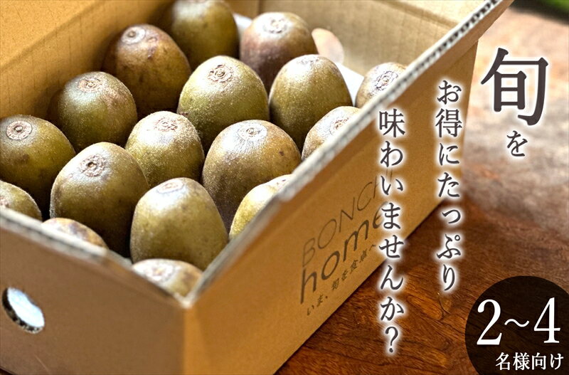 【ふるさと納税】＜先行予約2024年＞南アルプス市産 たっぷりご家庭用 レッドキウイ 約1kg＜出荷開始：2024年11月10日~年11月25日＞【 山梨県 南アルプス市 】のサムネイル