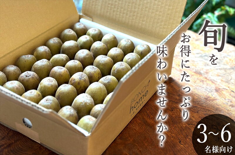 【ふるさと納税】＜先行予約2024年＞南アルプス市産 たっぷりご家庭用 レッドキウイ 約2kg＜出荷開始：2024年11月10日~11月25日＞【 山梨県 南アルプス市 】のサムネイル