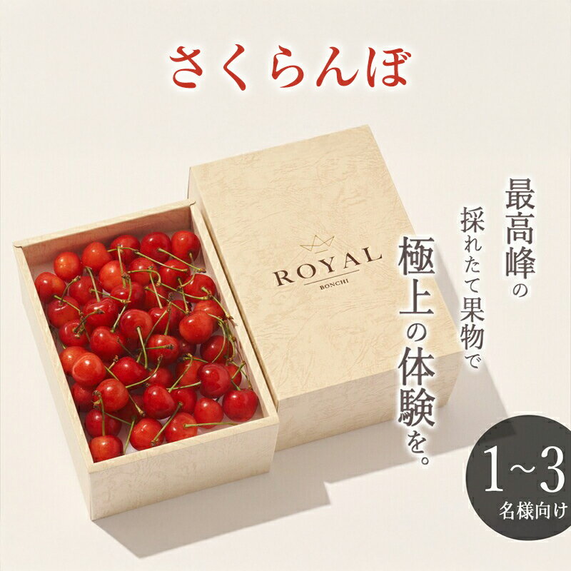 【ふるさと納税】＜先行予約2024年＞南アルプス市産さくらんぼ L,2Lサイズ BOX 250g＜出荷開始：2024年5月20日～6月20日＞【 フルーツ 山梨県 南アルプス市 】のサムネイル