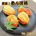 【ふるさと納税】<2026年発送分先行予約> 厳選!あんぽ柿 山梨県南アルプス市産 8個~12個入り ふるさと納税 あんぽ柿 柿 干し柿 果物 フルーツ おすすめ 山梨県 南アルプス市 送料無料 ALPBV010