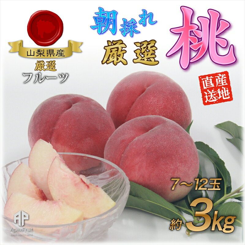 [先行予約]南アルプス市産朝採り桃 約3kg(7〜12玉)[出荷開始:2024年6月下旬頃から順次発送][ フルーツ 山梨県はももの生産量日本一 恵まれた環境で育ち収穫された 山梨県 南アルプス市 ]