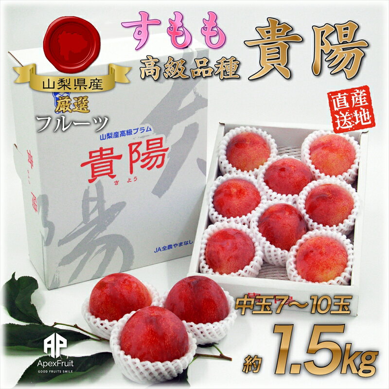 [先行予約]厳選!南アルプス市産 『貴陽』 中玉約1.5kg(7〜10玉)[出荷開始:2024年7月中旬頃から順次発送][ フルーツ すももの貴陽 世界一重いすもも 10年前にギネス認定 山梨県 南アルプス市 ]